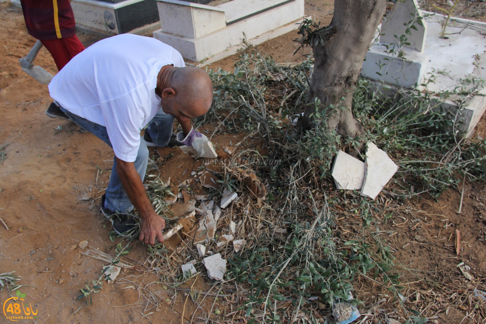 tasoo tandefet (39).jpg